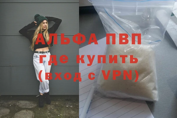 СК Елизово