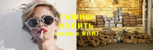 СК Елизово