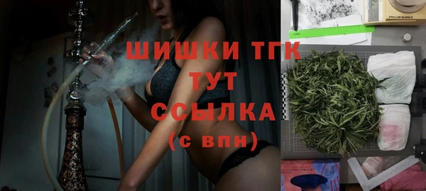 ECSTASY Ельня