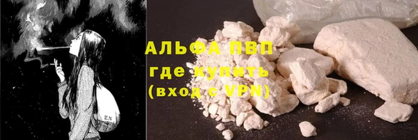 СК Елизово