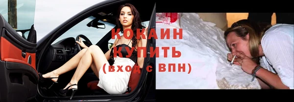 ECSTASY Ельня
