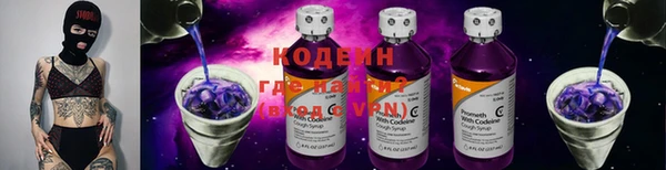 СК Елизово