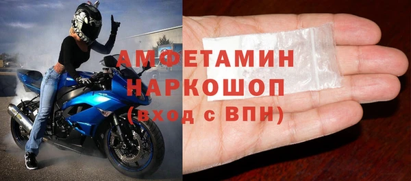 ECSTASY Ельня