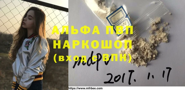 СК Елизово