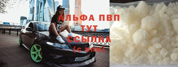 СК Елизово