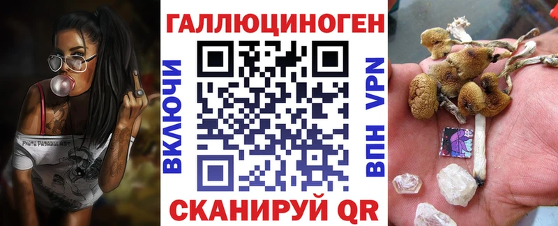 Купить закладки  Пикалёво  Псилоцибиновые грибы мицелий 